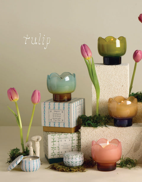 Tulip Spring Collection