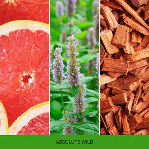 Mr&Mrs Fragrance - Andy & Frida Green - Absolute Wild - Autoduft