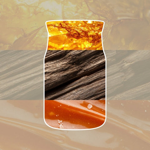 Yankee Candle - Amber & Sandalwood - Signature Duftkerze - 110g