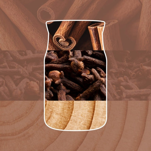 Yankee Candle – Cinnamon Stick – Signature 2 Docht Duftkerze – 567g – Neues Design – Bild 2