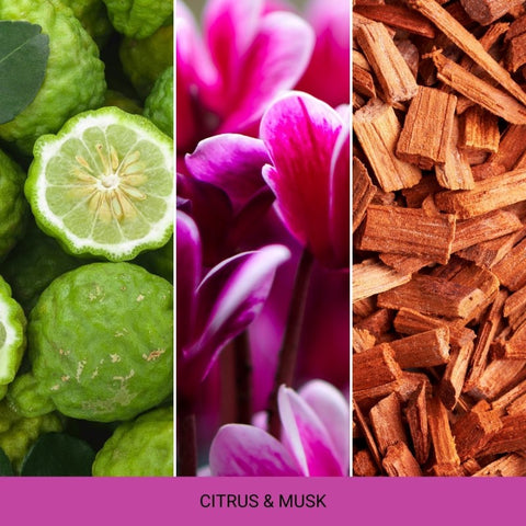 Mr&Mrs Fragrance - Cesare Pink - Citrus & Musk - Autoduft