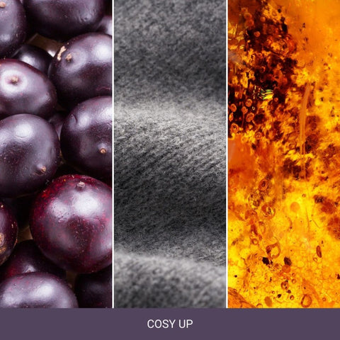 Yankee Candle - Cosy Up - Reed Diffuser - 90ml