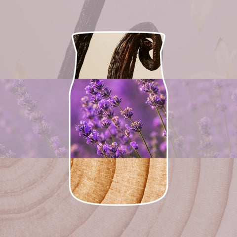 Yankee Candle - Dried Lavender & Oak - Signature 2 Docht Duftkerze - 368g