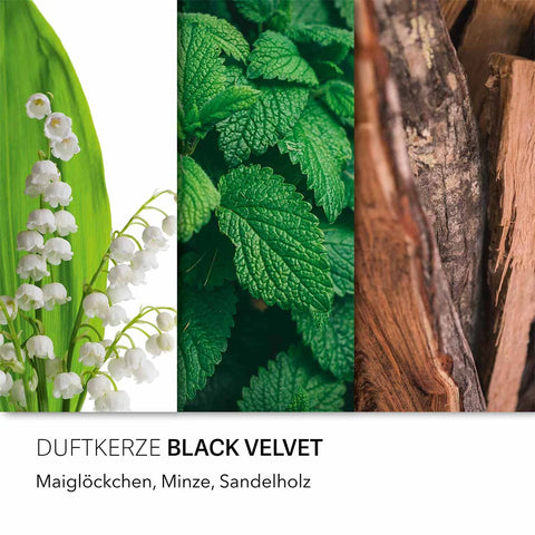 Candle Brothers - Black Velvet - Duftkerze - 510g