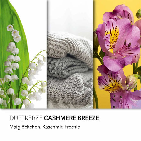 Candle Brothers - Cashmere Breeze - Duftkerze - 510g