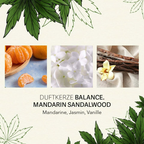 Candle Brothers - BALANCE - Mandarin & Sandalwood - C.B.D. - Duftkerze - 350g