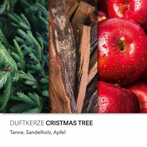 Candle Brothers - Christmas Tree - Duftkerze - 510g
