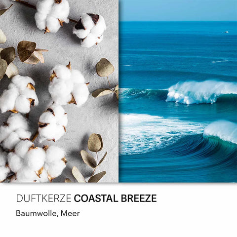 Candle Brothers - Coastal Breeze - 3 Layer Duftkerze - 510g