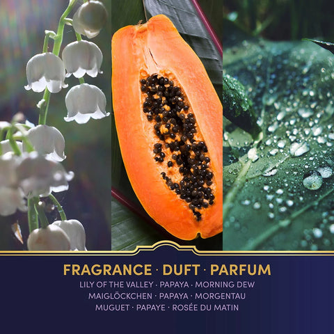 Harry Potter™ - Glasses Black - Duftkerze - 135g