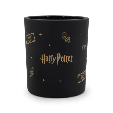 Harry Potter™ - Magical Owl Black - Duftkerze - 135g