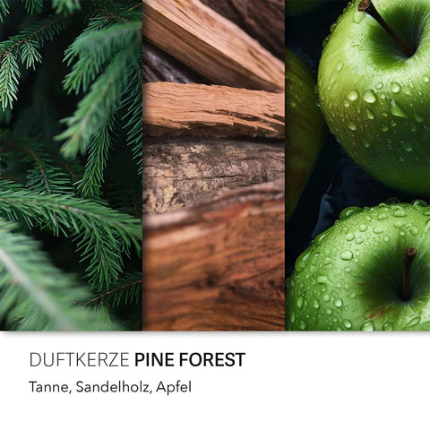 Candle Brothers - Pine Forest - Duftkerze - 510g
