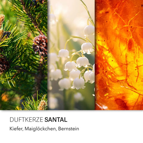 Candle Brothers - Santal - Duftkerze - 510g