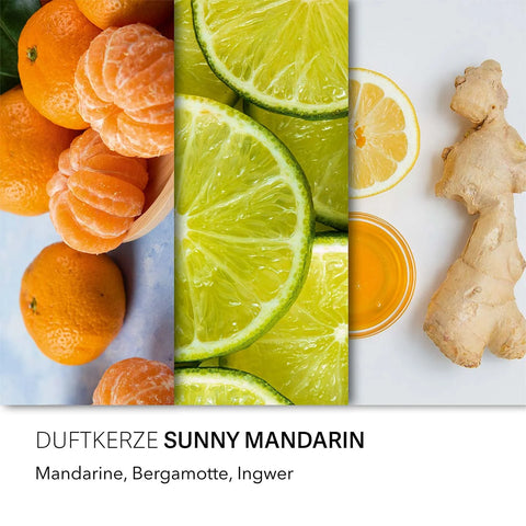 Candle Brothers - Sunny Mandarin - Duftkerze - 510g
