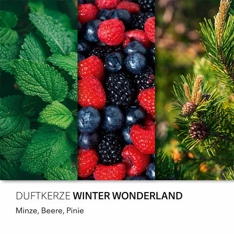 Candle Brothers - Winter Wonderland - 3 Layer Duftkerze - 510g