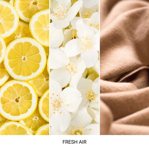 Mr&Mrs Fragrance - Cesare White - Fresh Air - Autoduft