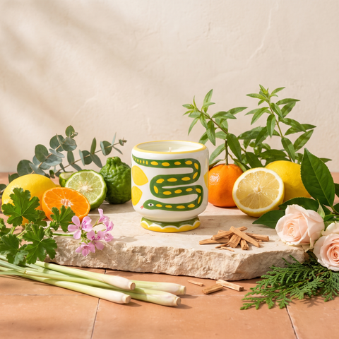 Paddywax Adopo Snake – Wild Lemongrass Keramik Duftkerze mit Duftzutaten: Zitrone, Eukalyptus, Mandarine, Bergamotte, Eisenkraut, Zitronengras, Geranie, Rose, Zeder und Sandelholz