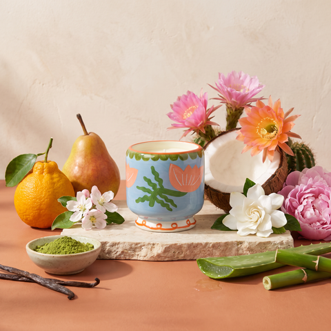 Paddywax Adopo Flower – Cactus Flower Keramik Duftkerze mit Duftzutaten: Bergamotte, Birne, Apfelblüte, Kokoswasser, Kaktusblüte, Gardenie, Pfingstrose, Aloe Vera, Matcha, Vanille und Bambus