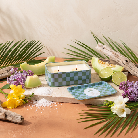 Paddywax Adopo Palm Tree – Lush Palms Duftkerze mit Duftzutaten: Meersalz, Honigmelone, Limette, Flieder, Freesie und Treibholz