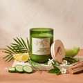 Paddywax Eco Green - Bamboo & Green Tea - Duftkerze - 226g mit Duftzutaten: Palmblätter, salzige Zitrone, Gurke, frische Gräser, Jasmin, grüner Tee, Erdbeerblüten, Melone, Galbanum, Bambus, Zedernholz und Moschus