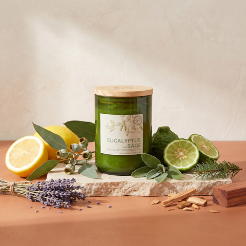 Paddywax Eco Green - Eucalyptus & Sage - Duftkerze - 226g mit Duftzutaten: Zitrone, Eukalyptus, Bergamotte, Salbei, Fichte, Lavendel, Sandelholz und Palisander