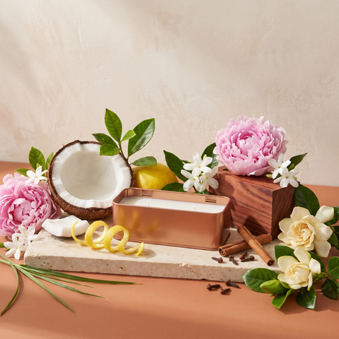 Paddywax Library - Jane Austen - Reise Duftkerze - 56g mit Duftzutaten: Kokoswasser, Aldehyde, Zitronenschale, Pfingstrose, Jasmin, Gardenie, frische Blätter, Gräser, Rosenholz und Gewürze