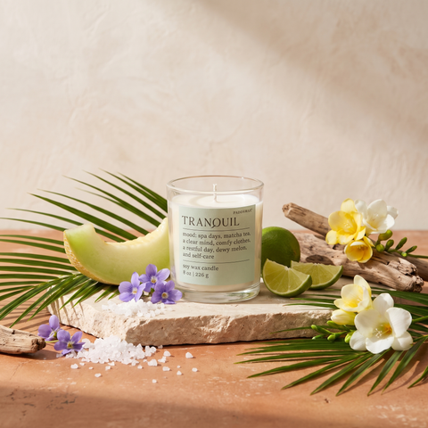 Paddywax MOOD - Tranquil - Lush Palms - Duftkerze - 226g mit Duftzutaten: Meersalz, Honigmelone, Limette, Veilchen, Freesie, Moschus und Treibholz