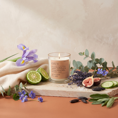 Paddywax MOOD - Cozy - Cashmere & French Orris - Duftkerze - 226g mit Duftzutaten: Bergamotte, Eukalyptus, Meeresluft, Veilchen, Lavendel, gesalzene Feige, Gurke, Tonkabohne, Salbei und frische Hölzer