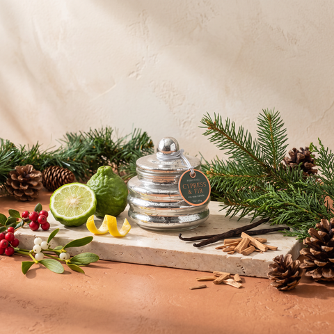 Paddywax Beam - Cypress & Fir - Silver - Duftkerze - 85g mit Duftzutaten: Bergamotte, Zitronenschale, rote Waldbeeren, Mistel, Sandelholz, Vanille, Zypresse, Douglasie und Kiefer