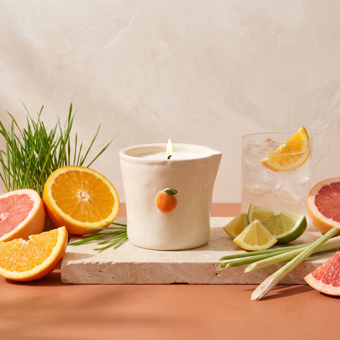 Paddywax Bistro - Citrus Spritz - Keramik Duftkerze - 226g mit Duftzutaten: süße Orange, Grapefruit, Zitrusfrüchte, frische Gräser und Zitronengras