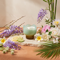 Paddywax Tulip - Wisteria & Willow - Duftkerze - 155g mit Duftzutaten: Zitrus, Plumeria, Gardenie, Pfingstrose, Jasmin, Blauregen, Wasserlilie, Weißklee, Bambus, Palmblatt und Weißeiche