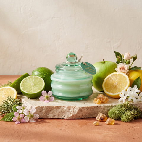 Paddywax Beam - Misted Lime - Duftkerze - 85g mit Duftzutaten: Himbeerblüten, Zitrone, Limette, grüner Apfel, Jasmin, Rose, Moschus, Eichenmoos und Amber