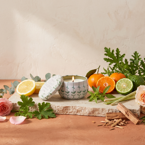 Paddywax Tulip - Verbena & Lemongrass - Duftkerze - 56g mit Duftzutaten: Zitrone, Eukalyptus, Mandarine, Bergamotte, wilde Verbene, Zitronengras, Geranienblatt, Rose, Moschus, Zeder und Sandelholz