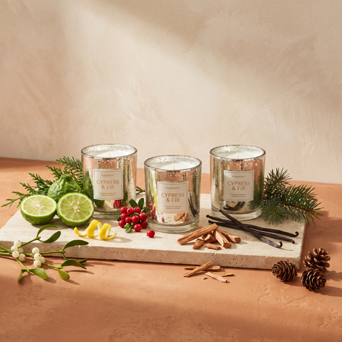 Paddywax Cypress & Fir - Mercury Geschenkset - 3x 56g mit Duftzutaten: Bergamotte, Zitronenschale, rote Waldbeeren, Mistel, Sandelholz, Vanille, Zypresse, Douglasie und Kiefer