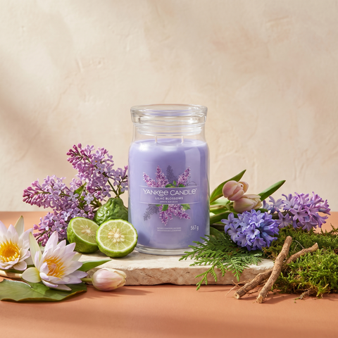 Yankee Candle Lilac Blossom - Signature 2 Docht Duftkerze - 567g mit Duftzutaten: grüne Noten, Wasserlilie, Bergamotte, Flieder, Tulpenknospen, Hyazinthe, Zedernblätter, Vetiver und Moos