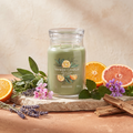Yankee Candle Sage & Citrus - Signature 2 Docht Duftkerze - 567g mit Duftzutaten: Kräuter, Lavendel, Zitrusfrüchte, Geranie, Patschuli, Moschus, holzige Noten und pudrige Noten