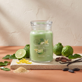 Yankee Candle Vanilla Lime - Signature 2 Docht Duftkerze - 567g mit Duftzutaten: Kaffirlimette, Zitronenschale, Zucker, Kakao, Vanille und Tonkabohne