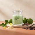Yankee Candle Vanilla Lime - Signature 2 Docht Duftkerze - 368g mit Duftzutaten: Kaffirlimette, Zitronenschale, Zucker, Kakao, Vanille und Tonkabohne