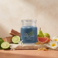 Yankee Candle Bayside Cedar - Signature 2 Docht Duftkerze - 368g mit Duftzutaten: Bergamotte, grüne Birne, Grapefruit, Mandarinenblüte, Seerose, Amber, Zedernholz und Moschus