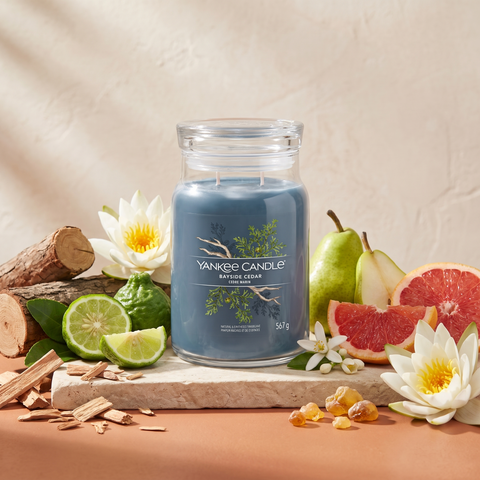 Yankee Candle Bayside Cedar - Signature 2 Docht Duftkerze - 567g mit Duftzutaten: Bergamotte, grüne Birne, Grapefruit, Mandarinenblüte, Seerose, Amber, Zedernholz und Moschus
