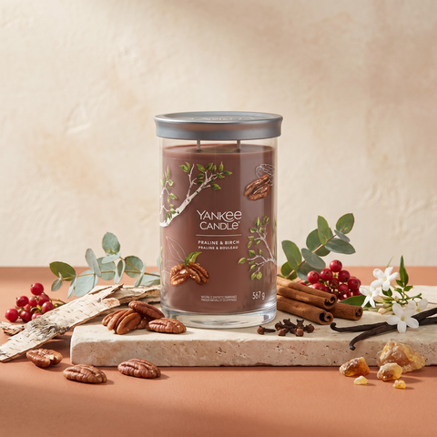 Yankee Candle Praline & Birch - Signature 2 Docht Tumbler - 567g mit Duftzutaten: Zimt, Nelke, rote Beeren, Eukalyptus, Jasmin, Vanille, Pekannüsse, Amber und Birke