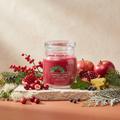 Yankee Candle Sparkling Winterberry - Signature 2 Docht Duftkerze - 368g mit Duftzutaten: Apfel, Granatapfel, Ananas, Winterbeere, Wacholderbeeren, Tannenbalsam, grüne Minze, Zeder, weißes Moos und Moschus