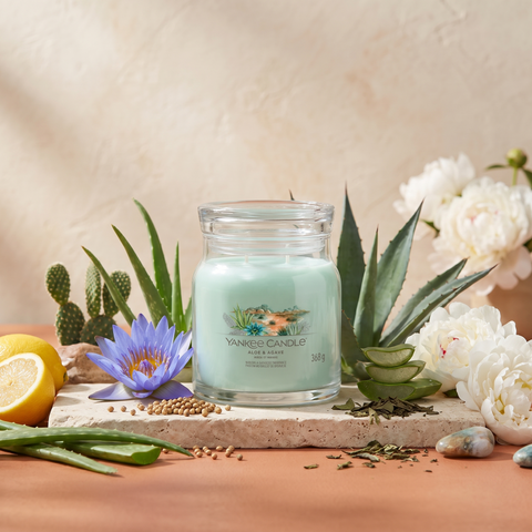 Yankee Candle Aloe & Agave - Signature 2 Docht Duftkerze - 368g mit Duftzutaten: grüne Noten, Zitrone, Kaktuswasser, Aloe, blauer Lotus, Koriander, weiße Pfingstrose, Hölzer, Moschus, Teeblätter und Agave