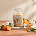Yankee Candle Beach Day Rays - Duftkerze - 538g mit Duftzutaten: Kokosblüte, Orangenblüte, Mandarine, Jasmin, Gardenie, Vanille, Moschus und Amber