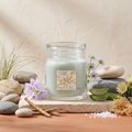 Yankee Candle Serenity Stone - Signature 2 Docht Duftkerze - 368g mit Duftzutaten: Meeresakkord, Dünengras, Wasserhyazinthe, blaue Kamille, Kaktusblüte, Aloe, Vetiver und Seemoos