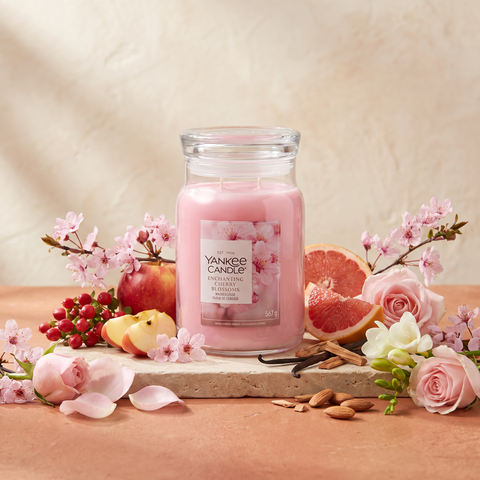 Yankee Candle Enchanting Cherry Blossom - Signature 2 Docht Duftkerze - 567g mit Duftzutaten: rote Früchte, Apfel, rosa Grapefruit, Rose, Freesie, Kirschblüte, Sandelholz, Vanille und Mandelmilch