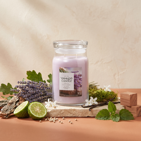 Yankee Candle Dried Lavender & Oak - Signature 2 Docht Duftkerze - 567g mit Duftzutaten: weißer Pfeffer, Lavendel, Bergamotte, weiße Blüten, Moos, Vanille, Patschuli und Zedernholz
