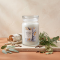 Yankee Candle Silver Birch - Signature 2 Docht Duftkerze - 567g mit Duftzutaten: wässrige Noten, Ozon, sibirische Kiefer, Nelke, Eukalyptus, Zypresse, Birke und Patschuli