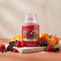 Yankee Candle Red Rasspberry - Classic Duftkerze - 623g mit Duftzutaten: Orange, Mandarine, schwarze Kirsche, Himbeere, Erdbeere, schwarze Johannisbeere, Kristallzucker und Moschus