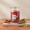 Yankee Candle Sparkling Cinnamon - Signature 2 Docht Duftkerze - 567g - Neues Design mit Duftzutaten: Zimt, Kardamom, Nelke, Lorbeerblatt und Zedernholz