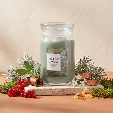 Yankee Candle Silver Sage & Pine - Signature 2 Docht Duftkerze - 567g - Neues Design mit Duftzutaten: Johannisbeere, Muskatellersalbei, Aldehyde, Kiefernnadel, Leder, Jasmin, Zedernholz, Bernstein und Moos